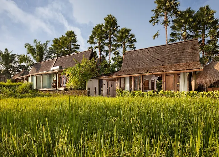 Resort Blue Karma Dijiwa Ubud
